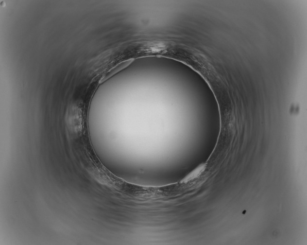 X0000090731442200707271353