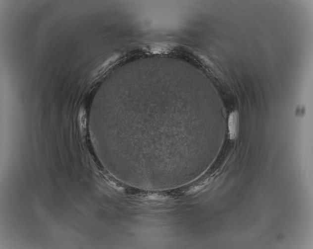 X0000090731443200707271353