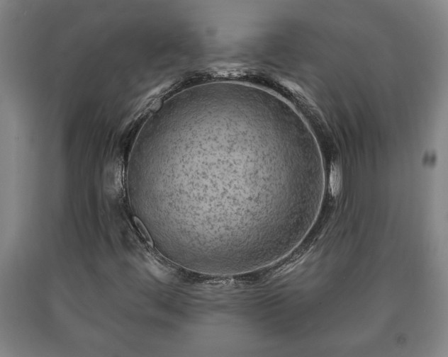 X0000090731444200707271353