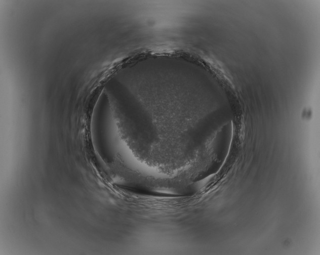 X0000090731445200707271353