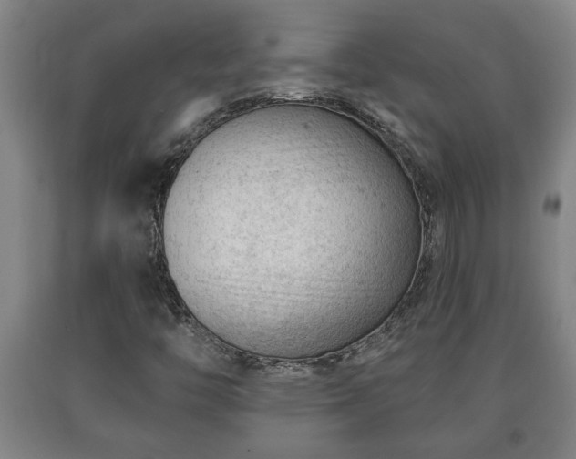 X0000090731446200707271353