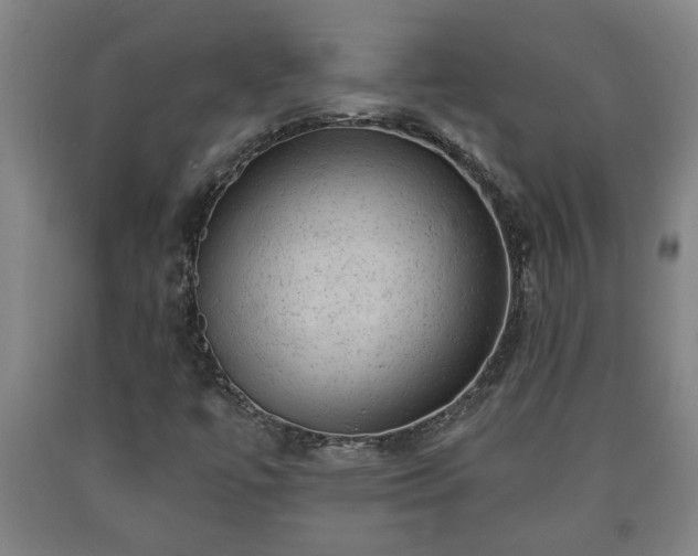 X0000090731447200707271353