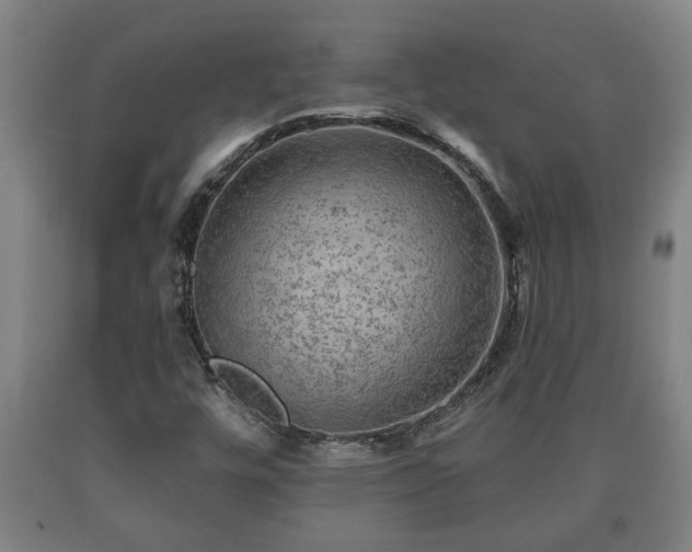 X0000090731448200707271353