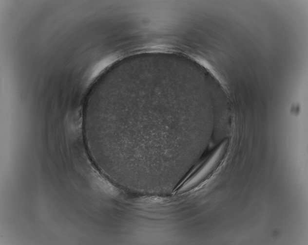 X0000090731450200707271353
