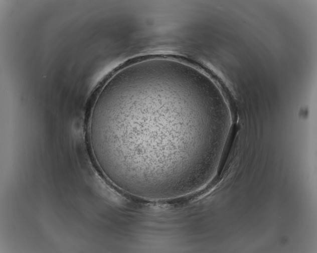 X0000090731452200707271352