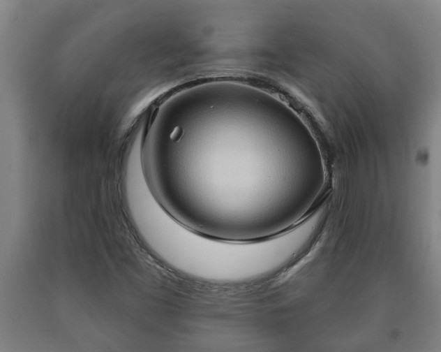 X0000090731453200707271352