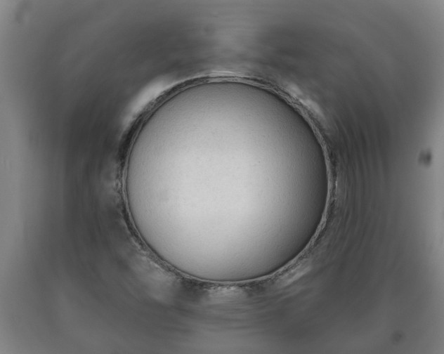 X0000090731454200707271352