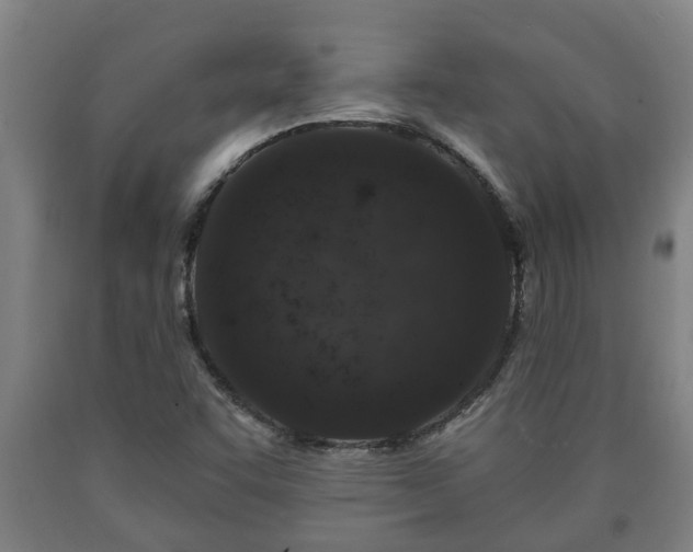 X0000090731455200707271352