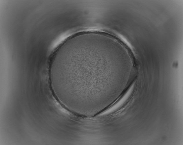 X0000090731456200707271352