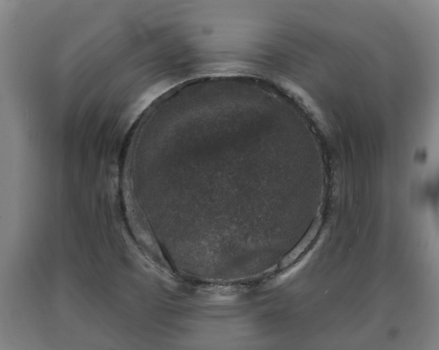 X0000090731457200707271352