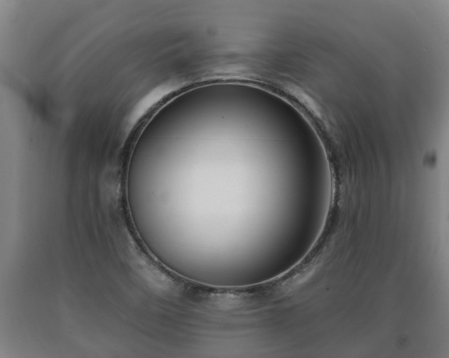X0000090731458200707271352