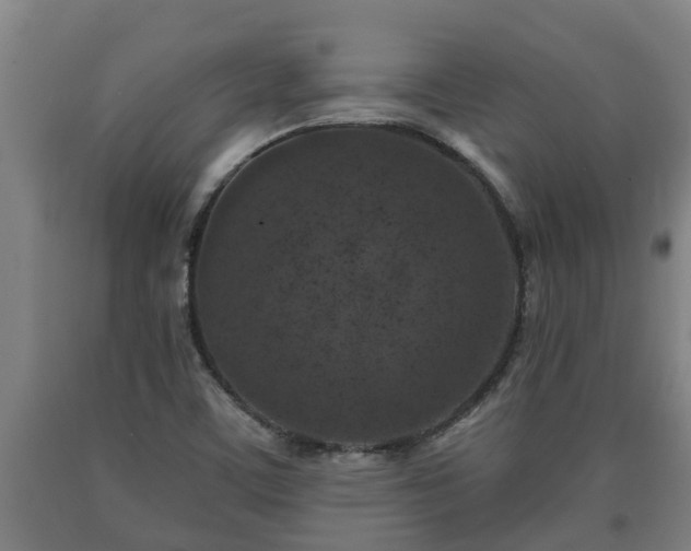 X0000090731459200707271352