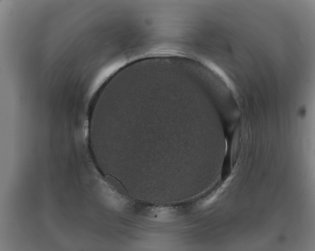 X0000090731461200707271352