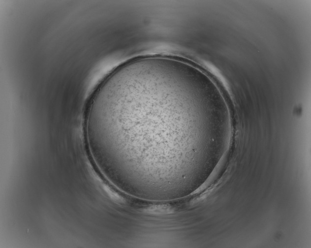 X0000090731464200707271352