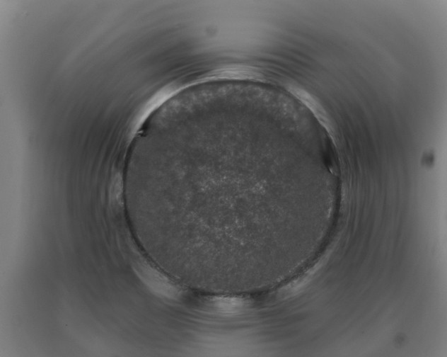 X0000090731465200707271352
