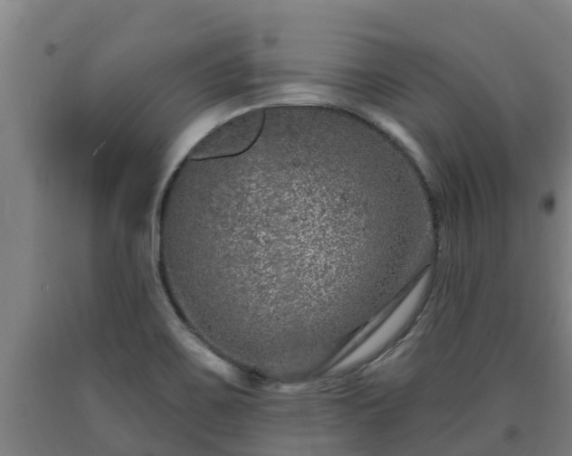 X0000090731467200707271352