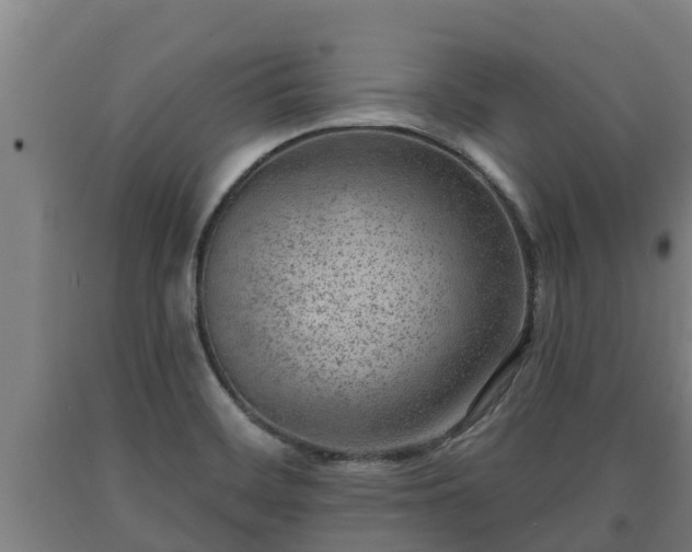 X0000090731468200707271352