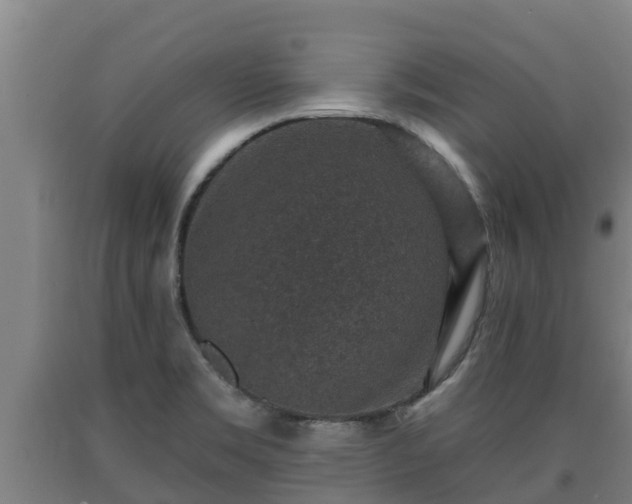 X0000090731469200707271352