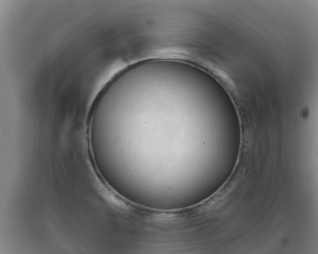 X0000090731470200707271352