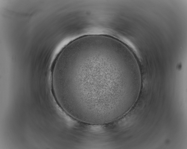 X0000090731472200707271352