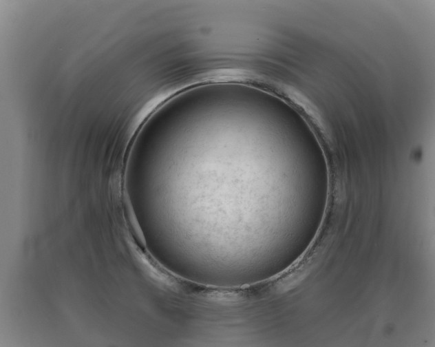 X0000090731473200707271352