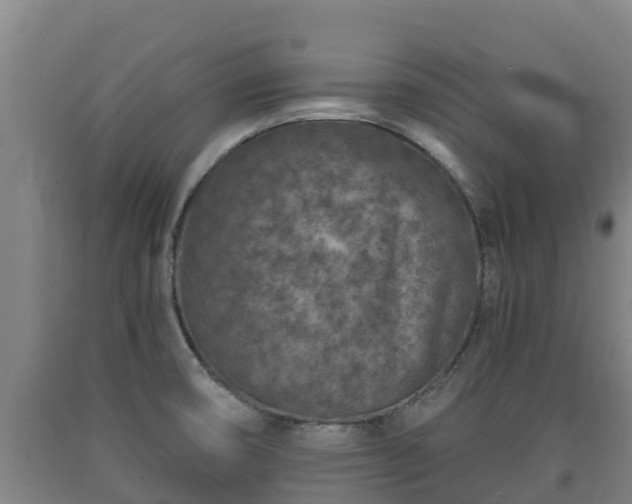 X0000090731474200707271352