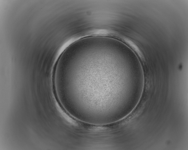 X0000090731475200707271352