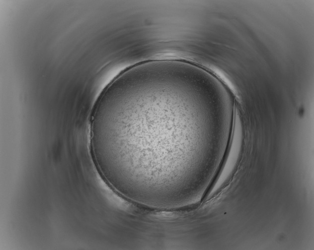 X0000090731476200707271352
