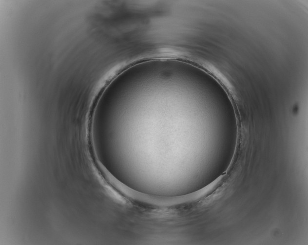 X0000090731477200707271352
