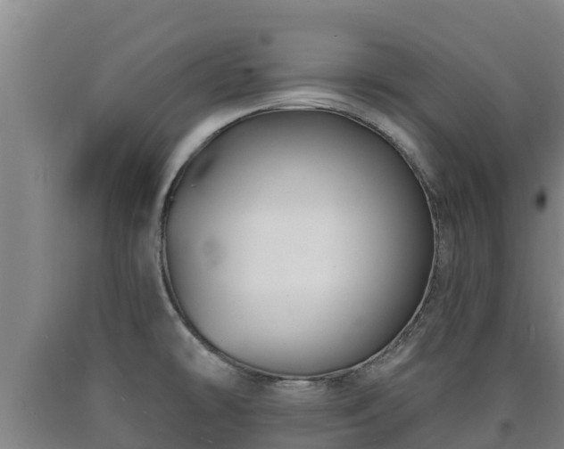 X0000090731478200707271352