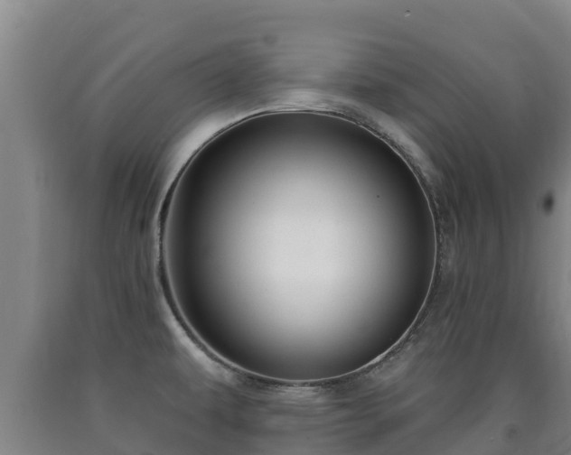 X0000090731479200707271352