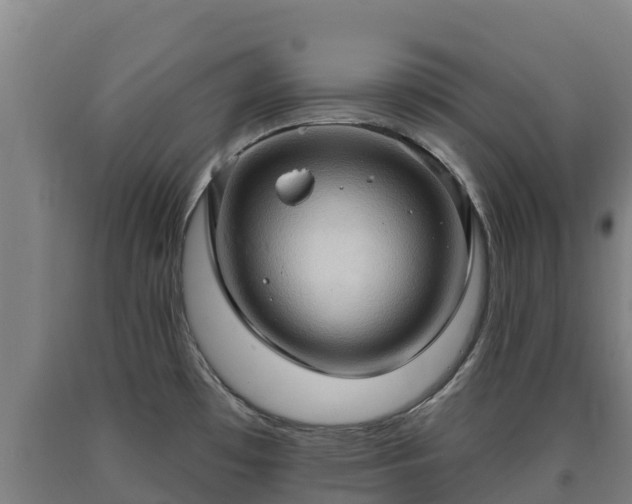 X0000090731481200707271352