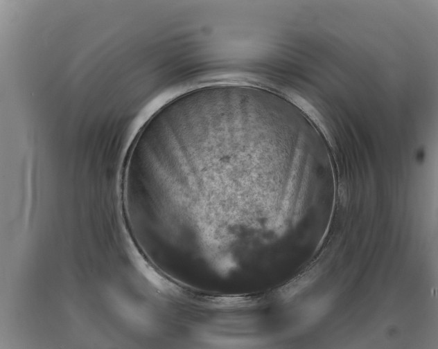 X0000090731482200707271352