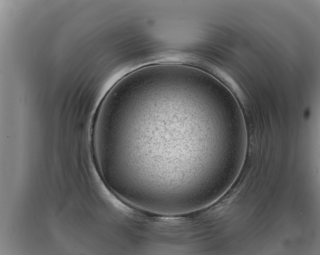 X0000090731483200707271352