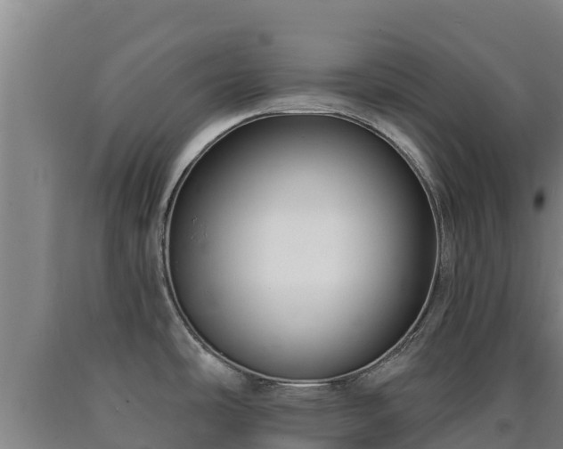 X0000090731486200707271352
