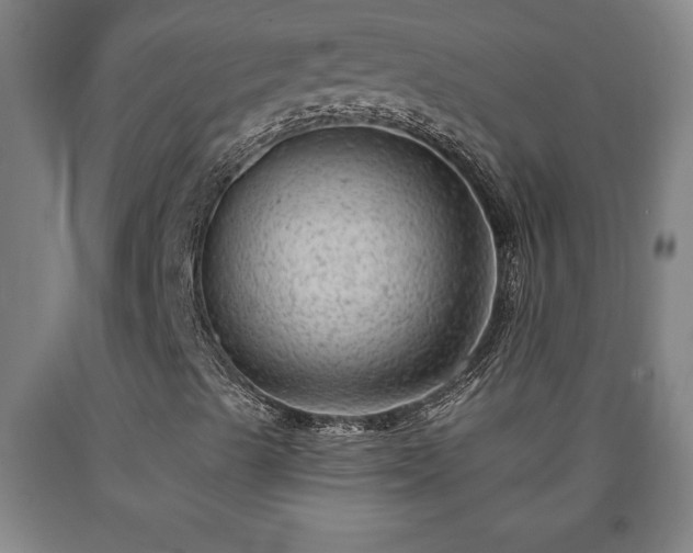 X0000090731489200707271351