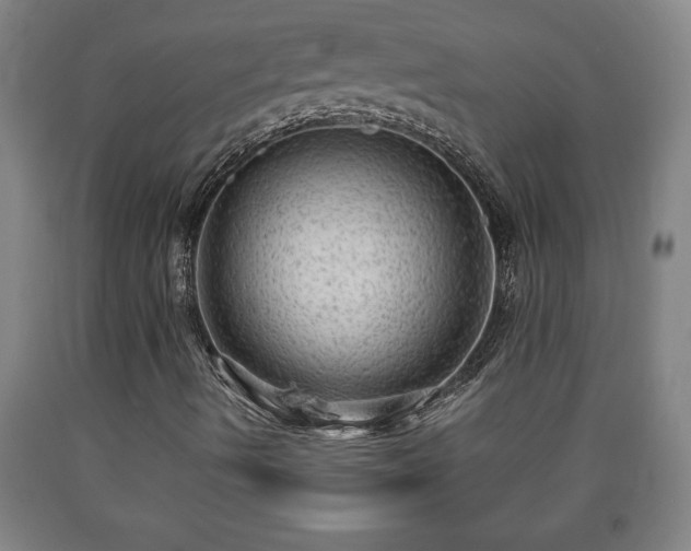 X0000090731490200707271351