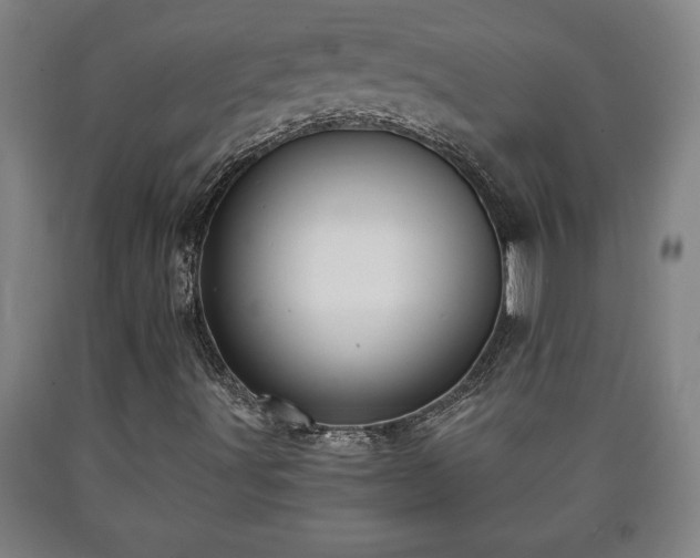 X0000090731491200707271351