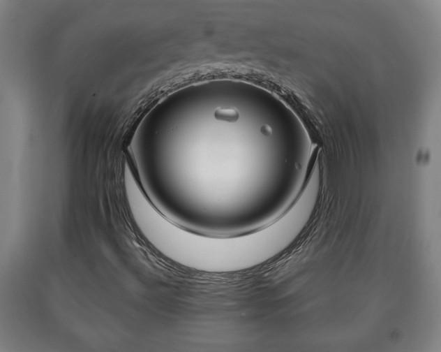 X0000090731492200707271351