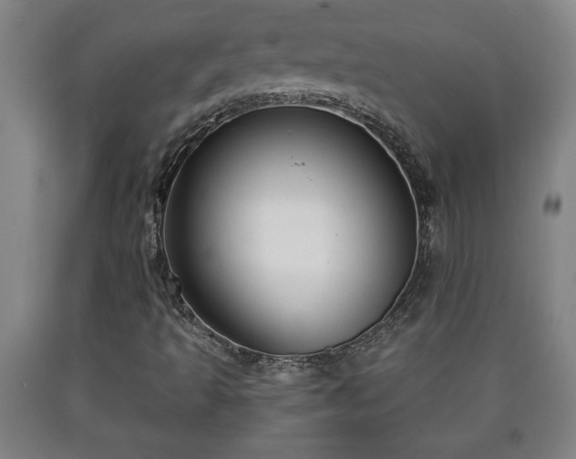 X0000090731493200707271351