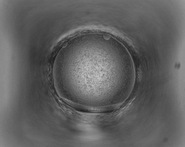 X0000090731494200707271351