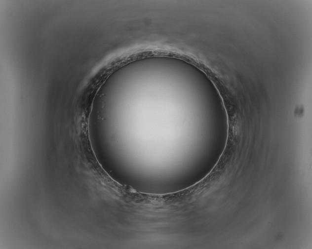 X0000090731495200707271351