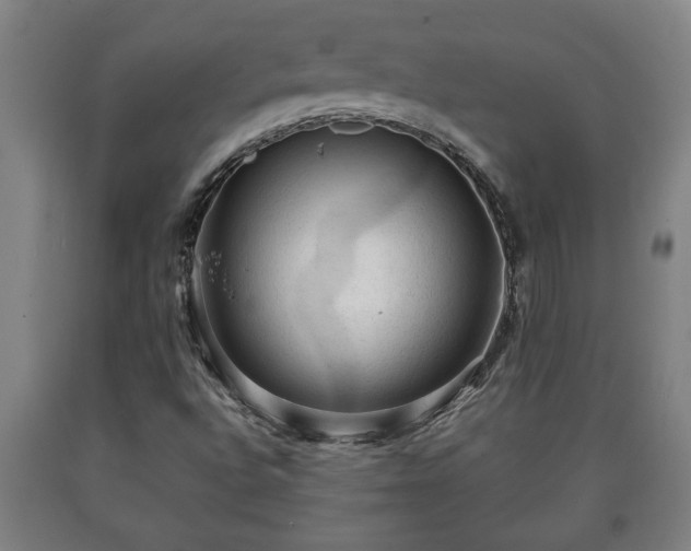 X0000090731496200707271351