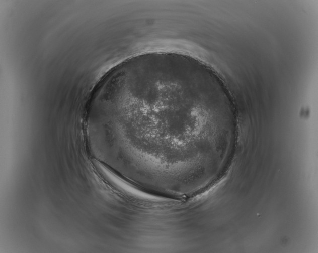 X0000090731497200707271351