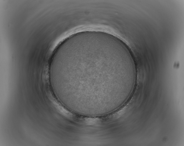 X0000090731498200707271351
