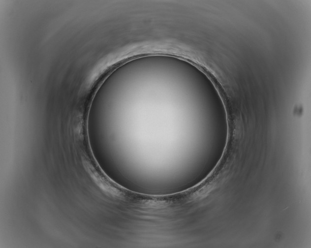 X0000090731499200707271351