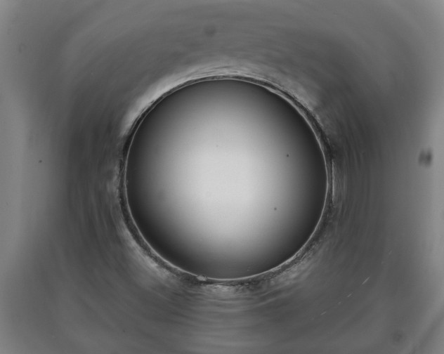 X0000090731500200707271351