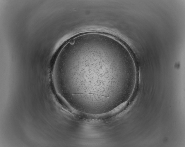 X0000090731501200707271351