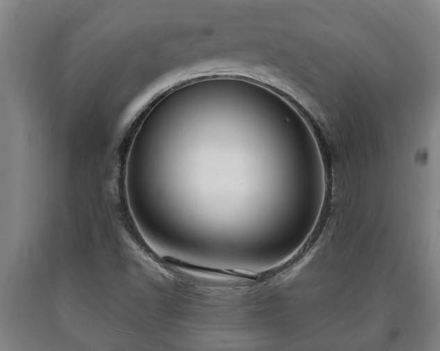 X0000090731502200707271351