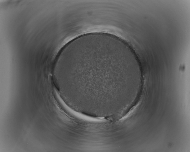 X0000090731505200707271352
